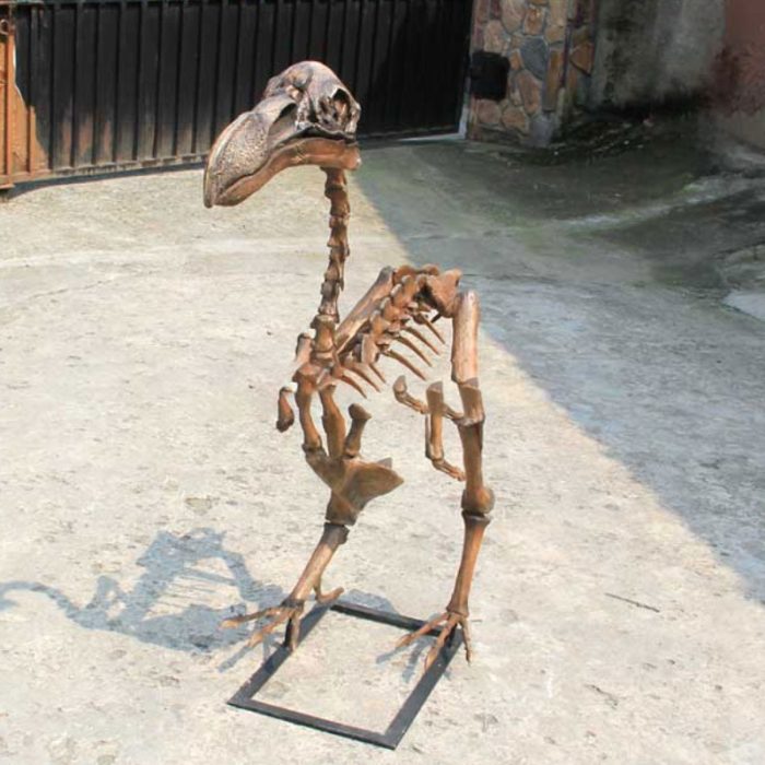 Pterodactyl Skeleton - Image 2