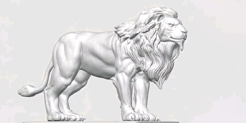 3D Printing Large Animal Models