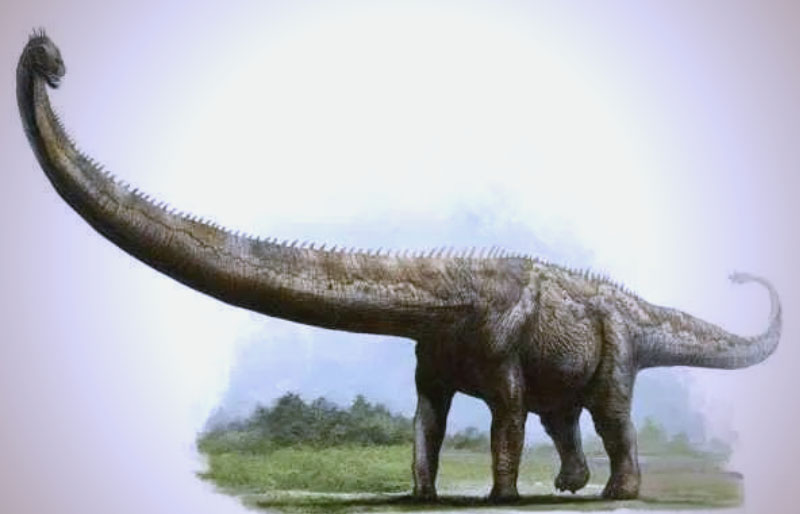 What Is The Dinosaur With The Long Neck