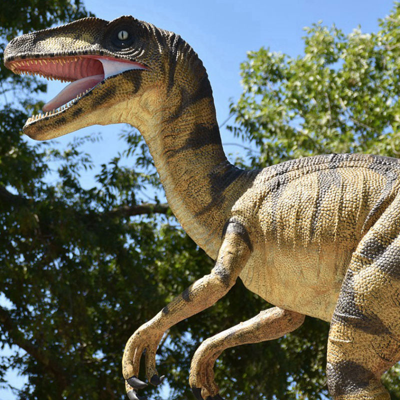 Raptor Dinosaur Breeds Model 