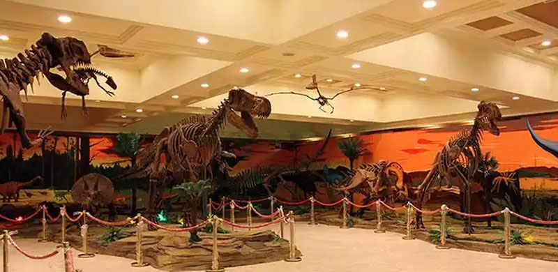 Simulation dinosaur fossil