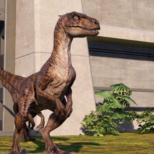 Velociraptor Dinosaur Models