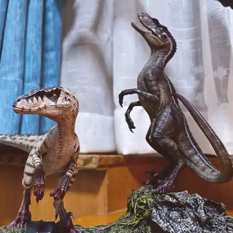 Velociraptor Dinosaur models