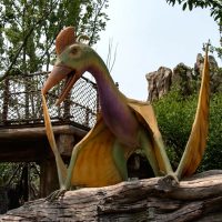 Pterosaur Dinosaur Model