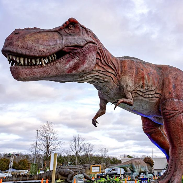 Life Size Trex Realistic Animatronic Dinosaur Model Factory - Image 4