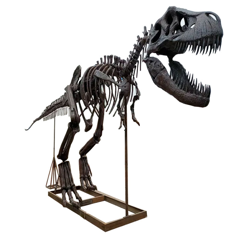 Dinosaur Skeletons