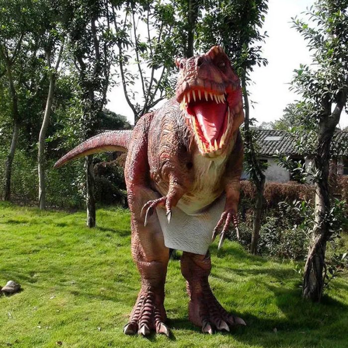 dinosaur costume