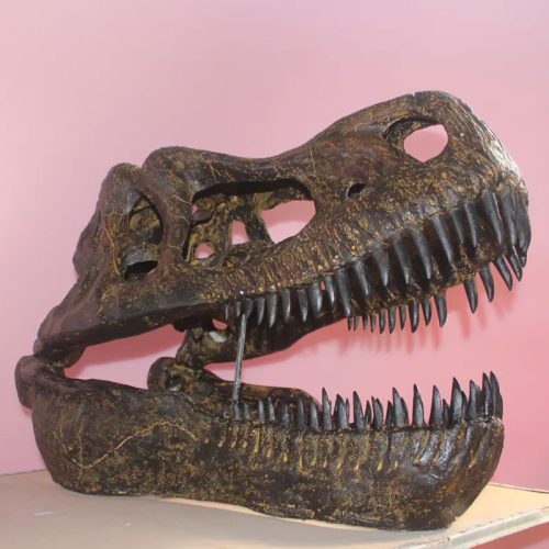 Dinosaur Fossil Model