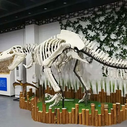 dinosaur skeleton fossil replica