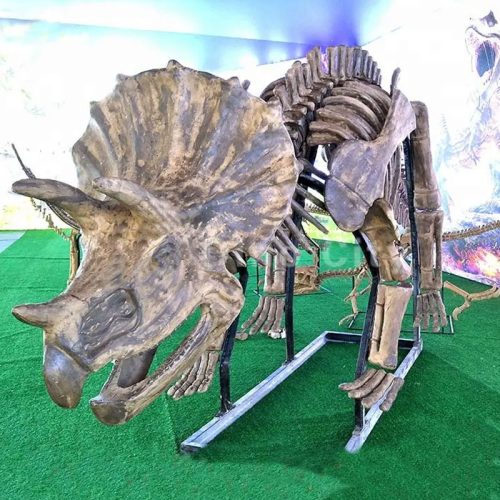 Fiberglass Dinosaur Fossil Model