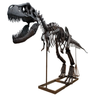 Fossil Replicas