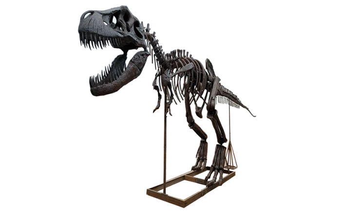 Fossil Replicas