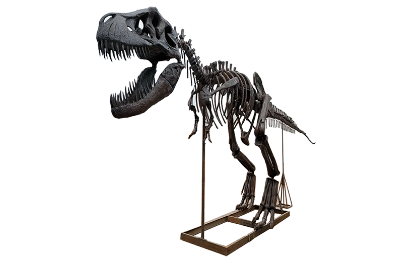 Fossil Replicas