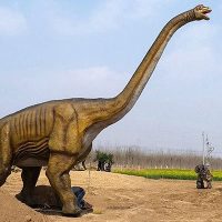 Realistic Giraffe Models For Park - Image 2