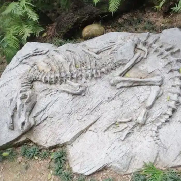 Concrete Dinosaur Stone Carving Statue