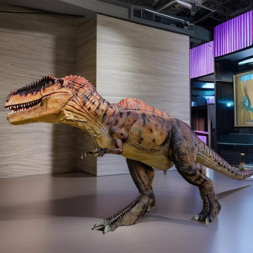 T-rex Dino Models Museum