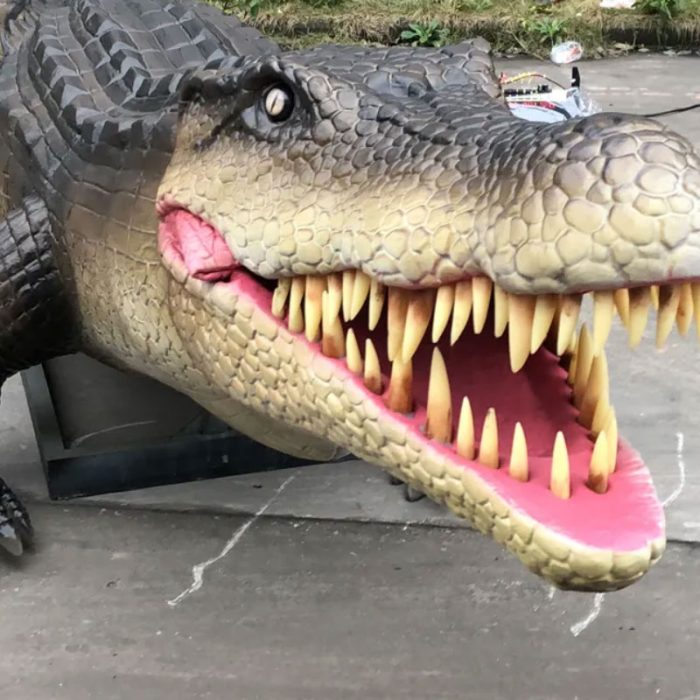 Realistic Alligator Animatronic Halloween Prop - Image 2