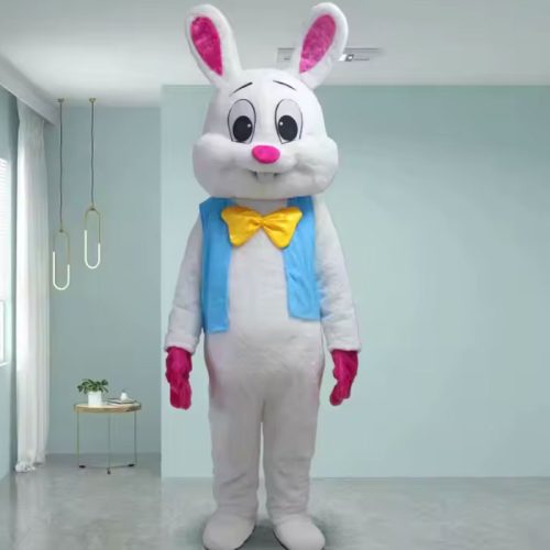 lola bunny and bugs bunny space jam costume