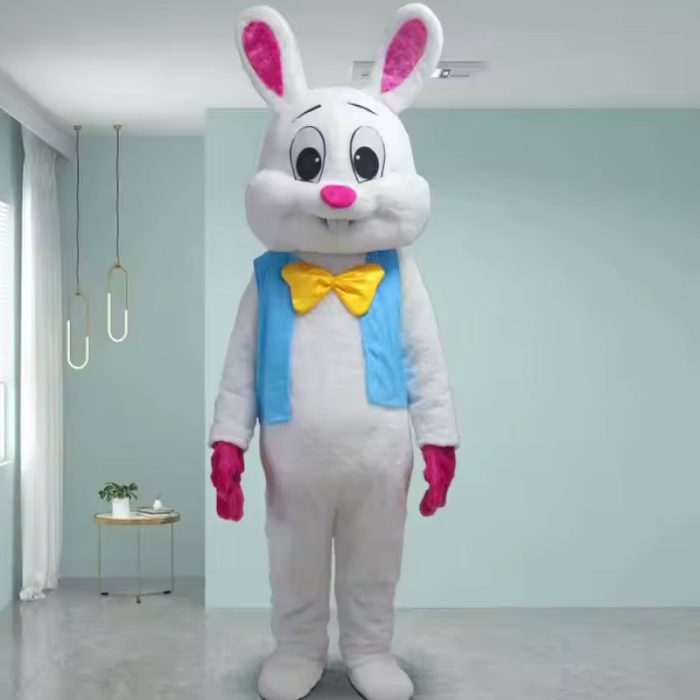 lola bunny and bugs bunny space jam costume