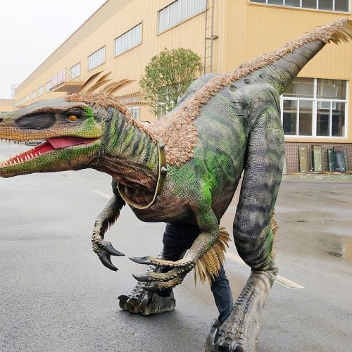Dinosaur Costume Kids